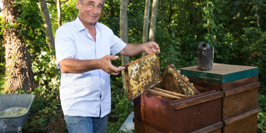 Klubobmann Mahr: Bienenhaltung auch im Wohngebiet ermöglichen